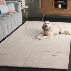 Safavieh Rodeo Drive Hand-tufted Medium Rectangle Area Rug – Luxurious Wool Blend For Timeless Elegance Ivory 90% Wool 10% Cotton Rd479a-5