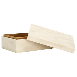 Safavieh Sabi, Elegant Antique Ivory Decorative Box Set Of 2 - Chic Faux Bone & Resin Storage Solution Antique Ivory ,Faux Bone Resin+Mdf Rdc5002a-set2