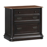 Roanoke Black File Cabinet REN-H360-60 TOV Furniture