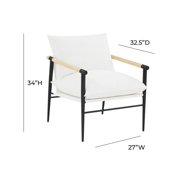 TOV Furniture Cali Modern Performance Fabric Accent Chair - Durable, Comfortable, and Stylish for Any Space REN-L00190