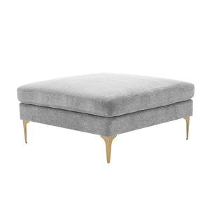 TOV Furniture Serena Velvet Ottoman – Modern Cozy Accent Piece with Brushed Brass Legs for Stylish Living Spaces Grey REN-L05131