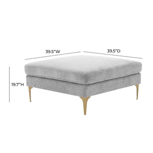 TOV Furniture Serena Velvet Ottoman – Modern Cozy Accent Piece with Brushed Brass Legs for Stylish Living Spaces Grey REN-L05131