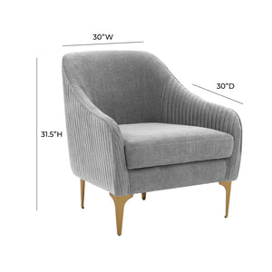 TOV Furniture Serena Velvet Accent Chair - Modern Elegance with Plush Comfort and Stylish Brushed Brass Legs Grey REN-L05132