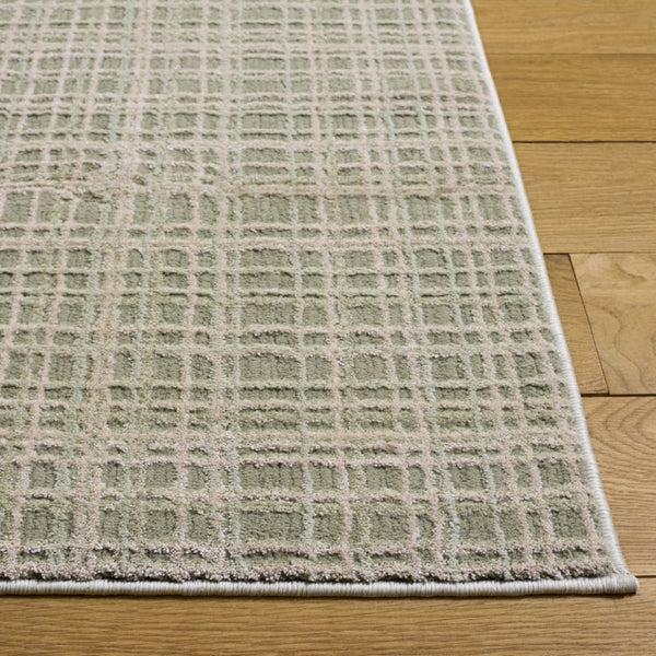 Safavieh Revive Low Profile Ivory Polyester Area Rug for Living Room Bedroom or Dining Space Green REV130Y-5