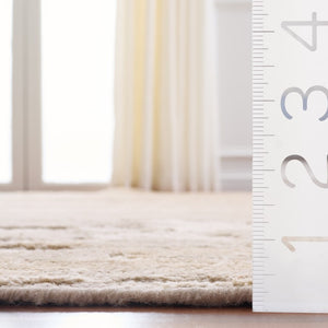 Safavieh Rlr Hand-Knotted Wool Jute Blend Area Rug Tonal Beige Sage Organic Solid Weave 8'-0" x 10'-0" RLR5154B-8