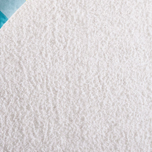 Safavieh Rumi Shag Area Rug - Luxurious Plush Comfort And Modern Elegance For Any Home Décor Style Ivory Polyester Rms120a-4