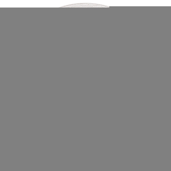 Safavieh Rumi Shag Area Rug - Luxurious Plush Comfort And Modern Elegance For Any Home Décor Style Ivory Polyester Rms120a-4