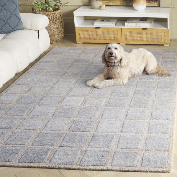 Safavieh Renewal Elegant Runner Rug - Hand-tufted Eco-friendly Design For Stylish Hallways & Entryways Beige ,Grey 90% Pet & 10% Cotton Rnw102b-5