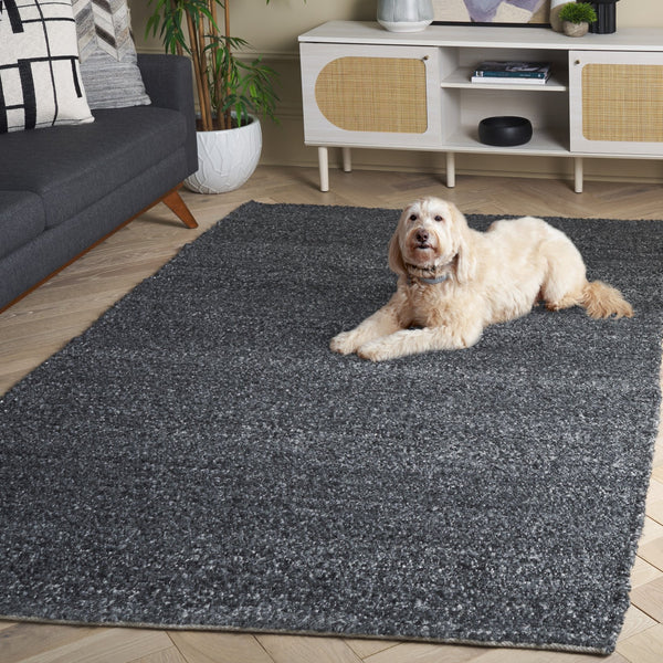 Safavieh Renewal Modern Area Rug - Exquisite Eco-friendly Design With Timeless Elegance For Any Space Charcoal Pet Yarn Rnw601h-4
