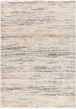 Rojin ROJ-2300 9' x 13'1" Machine Woven Rug ROJ2300-9127 Livabliss Surya