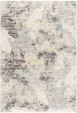 Rojin ROJ-2302 9' x 13'1" Machine Woven Rug ROJ2302-9127 Livabliss Surya