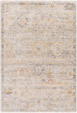 Rojin ROJ-2303 9' x 13'1" Machine Woven Rug ROJ2303-9127 Livabliss Surya