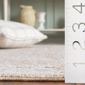 Safavieh Romance Neutral Beige Ivory Area Rug — Low-Profile Soft Polyester Pile, Power-Loomed Transitional Elegance 5'-3" x 7'-6" ROM320B-5