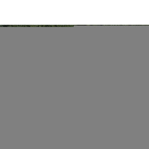 Trans Ocean Liora Manne Carmel Dragonfly Indoor/Outdoor Area Rug – Vibrant Nature Design For Stylish Spaces Navy Polypropylene,Polyester Cred8844033