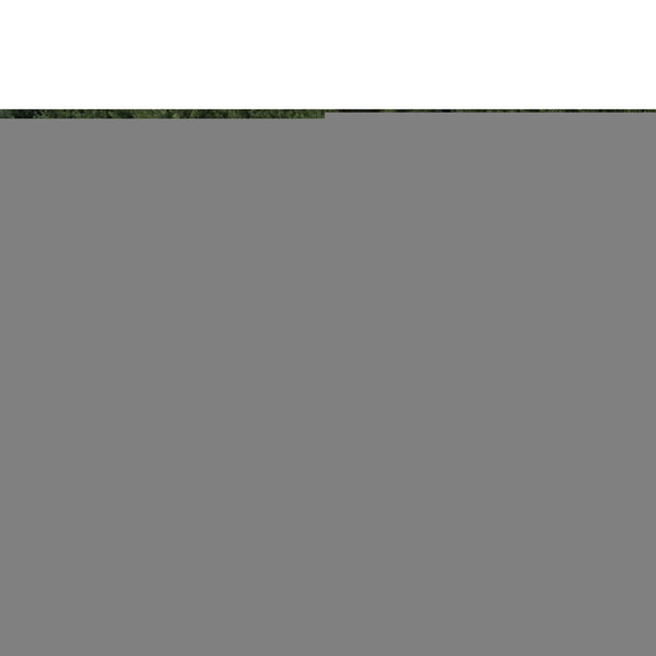 Trans Ocean Liora Manne Carmel Dragonfly Indoor/Outdoor Area Rug – Vibrant Nature Design For Stylish Spaces Navy Polypropylene,Polyester Cred8844033