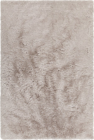 Chandra Rugs Hand-woven Contemporary Shag Rug - Luxurious 100% Polyester, Unique Handmade Design For Cozy Living Spaces Beige Polyester Rox47600-576