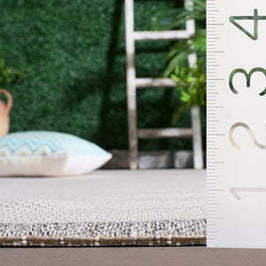Safavieh Sisal Inspired Polypropylene Area Rug Low Pile Neutral Texture for Living Room Ivory / Grey SAW644F-9