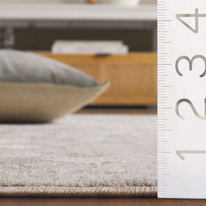 Safavieh Sabrina 841a Area Rug - Timeless Elegance In Ivory And Grey For A Sophisticated Home Decor Upgrade Ivory ,Grey 80% Polyester,20% Viscose Sbr841a-5