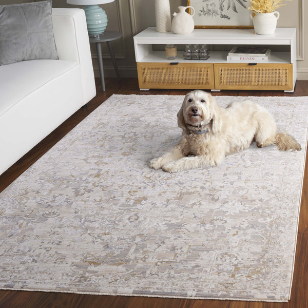 Safavieh Sabrina 841a Area Rug - Timeless Elegance In Ivory And Grey For A Sophisticated Home Decor Upgrade Ivory ,Grey 80% Polyester,20% Viscose Sbr841a-5