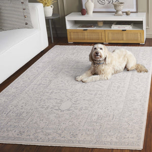 Safavieh Sabrina Exquisite Area Rug In Soft Hues, Power-loomed Elegance With Intricate Design For Any Room Ivory ,Grey 80% Polyester,20% Viscose Sbr842a-9