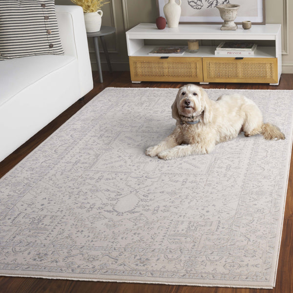 Safavieh Sabrina Exquisite Area Rug In Soft Hues, Power-loomed Elegance With Intricate Design For Any Room Ivory ,Grey 80% Polyester,20% Viscose Sbr842a-9