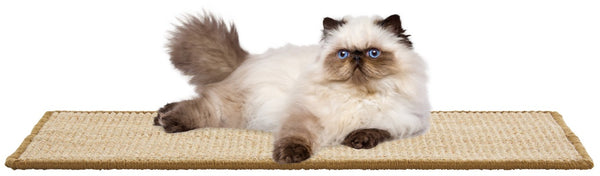 Safavieh Sisal Natural Boucle Cat Scratch Mat Compact Woven Surface for Furniture Protection SCM100A-1024