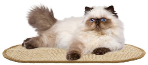Safavieh Sisal Cat Scratch Oval Mat Boucle Woven Natural Fiber for Floors and Cozy Rooms SCM100A-20OV