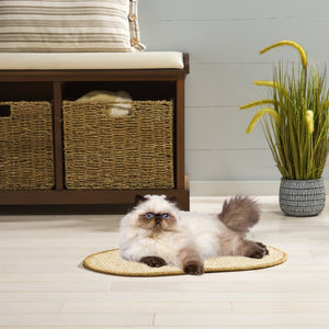 Safavieh Sisal Cat Scratch Oval Mat Boucle Woven Natural Fiber for Floors and Cozy Rooms SCM100A-20OV