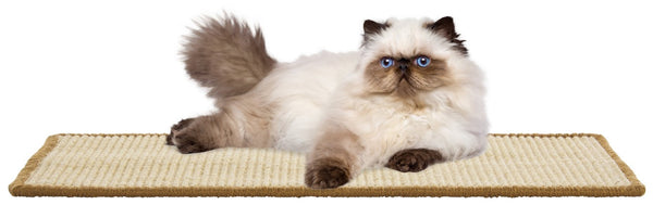 Safavieh Sisal Natural Fiber Cat Scratching Mat Boucle Woven Neutral Beige Floor Pad SCM100B-1024