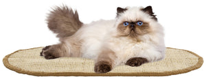 Safavieh Sisal Cat Scratch Oval Mat Boucle Woven Jute Blend Neutral Beige Pet Floor Accent SCM100B-20OV