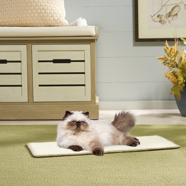 Safavieh Sisal Boucle Cat Scratching Mat Ivory Looped Weave Compact Accent for Any Room SCM100C-1024