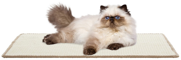 Safavieh Sisal Boucle Cat Scratch Mat Ivory Polypropylene Blend Flat Lay Rug for Any Room SCM100C-14