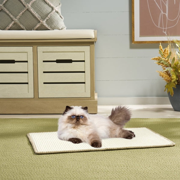 Safavieh Sisal Boucle Cat Scratch Mat Ivory Polypropylene Blend Flat Lay Rug for Any Room SCM100C-14