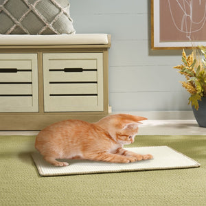 Safavieh Sisal Boucle Cat Scratch Mat Ivory Polypropylene Blend Flat Lay Rug for Any Room SCM100C-14