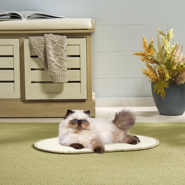 Safavieh Sisal Boucle Oval Scratching Mat Ivory Polypropylene Blend for Modern Pet Friendly Spaces SCM100C-20OV