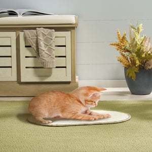 Safavieh Sisal Boucle Oval Scratching Mat Ivory Polypropylene Blend for Modern Pet Friendly Spaces SCM100C-20OV