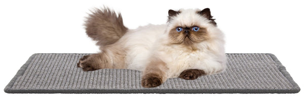 Safavieh Sisal and Polypropylene Boucle Cat Scratch Mat Neutral Gray Flat Floor Accent SCM100F-14