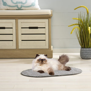 Safavieh Sisal Boucle Weave Cat Scratching Mat Oval Neutral Gray Polypropylene Blend Floor Accent SCM100F-20OV