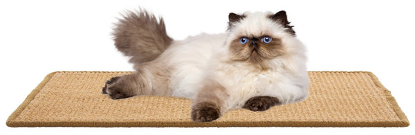 Safavieh Sisal Boucle Weave Cat Scratching Mat Neutral Flat Surface for Horizontal Stretching SCM100T-14