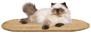 Safavieh Sisal Cat Scratch Mat Boucle Woven Oval Portable Pet Decor for Any Room SCM100T-20OV