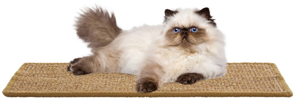 Safavieh Sisal and Jute Cat Scratch Mat Natural Boucle Weave Protects Furniture Floors SCM100U-1024