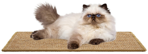 Safavieh Sisal and Jute Cat Scratch Mat Boucle Woven Natural Fiber Furniture Protector SCM100U-14