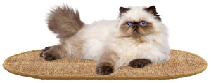 Safavieh Sisal and Jute Boucle Oval Cat Scratch Mat Natural Brown Boho Floor Accent SCM100U-20OV