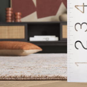 Safavieh Scarlett Power Loomed Transitional Runner Rug - Luxurious Red And Ivory Design For Elegant Spaces Brown ,Ivory 64% Polyester  36% Cotton Sct400t-5