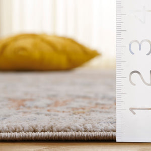 Safavieh Scarlett Stylish Area Rug - Elegant Transitional Design For Sophisticated Home Décor, Crafted In Turkey Beige ,Ivory Rust 64% Polyester  36% Cotton Sct414b-9