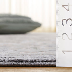 Safavieh Scarlett Runner Area Rug - Elegant Transitional Design, Plush Comfort, Durable & Timeless Craftsmanship Dark Grey ,Ivory Rust 64% Polyester  36% Cotton Sct418h-5