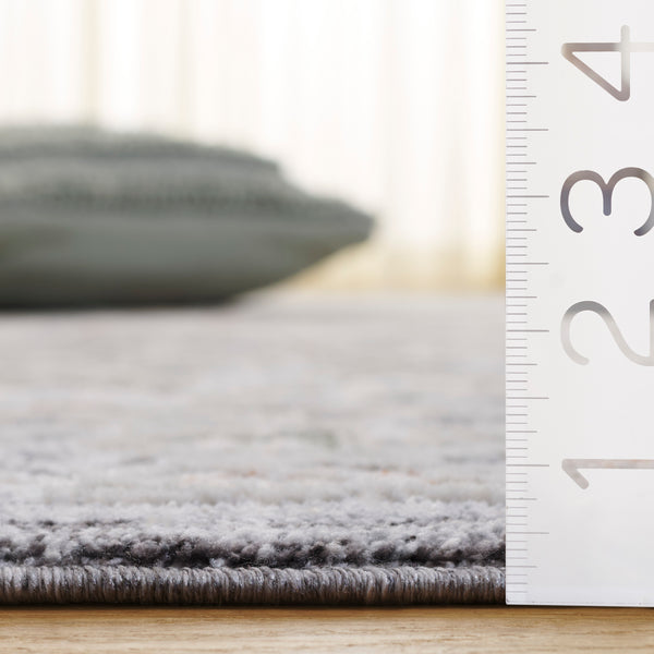 Safavieh Scarlett Runner Area Rug - Elegant Transitional Design, Plush Comfort, Durable & Timeless Craftsmanship Dark Grey ,Ivory Rust 64% Polyester  36% Cotton Sct418h-5