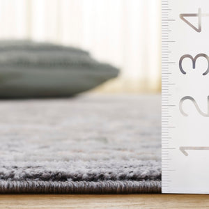 Safavieh Scarlett Power Loomed Area Rug - Stylish Transitional Design For Elegant Home Décor And Comfort Dark Grey ,Ivory Rust 64% Polyester  36% Cotton Sct418h-8