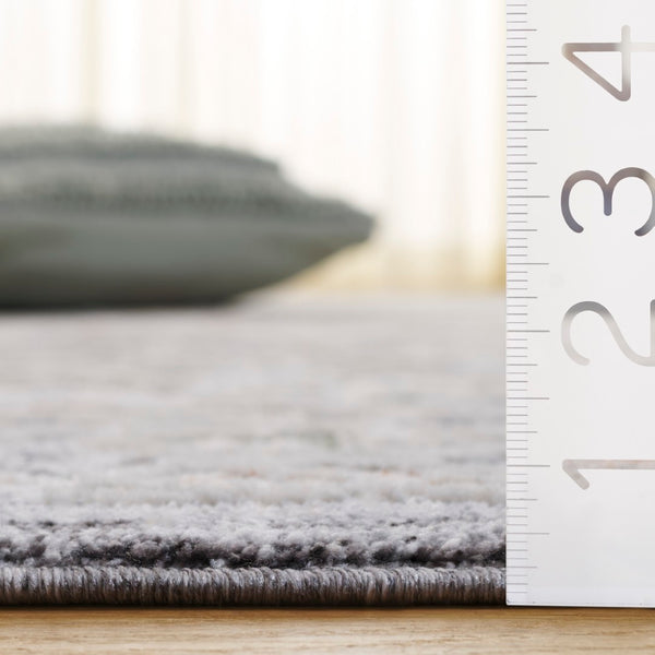 Safavieh Scarlett Power Loomed Area Rug - Stylish Transitional Design For Elegant Home Décor And Comfort Dark Grey ,Ivory Rust 64% Polyester  36% Cotton Sct418h-8