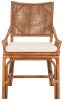 Safavieh Donatella Rattan Chair Honey / White Wood